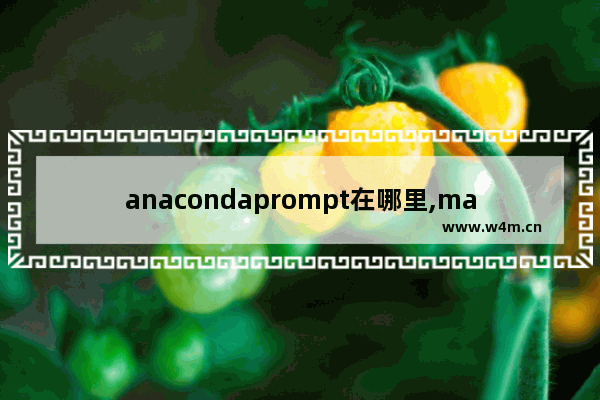 anacondaprompt在哪里,mac的anacondaprompt在哪里