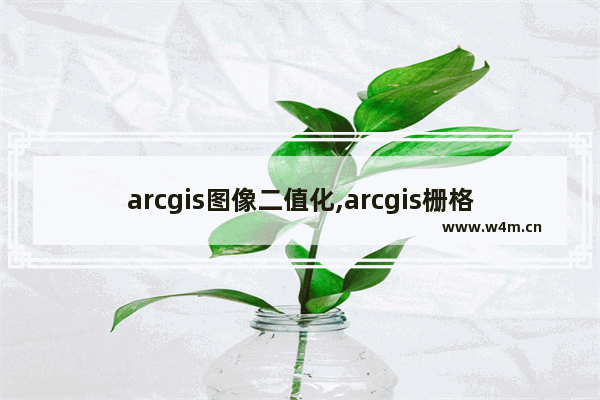 arcgis图像二值化,arcgis栅格二值化