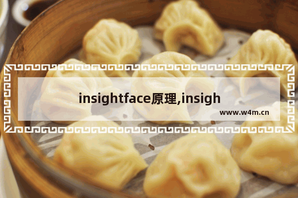 insightface原理,insightface训练