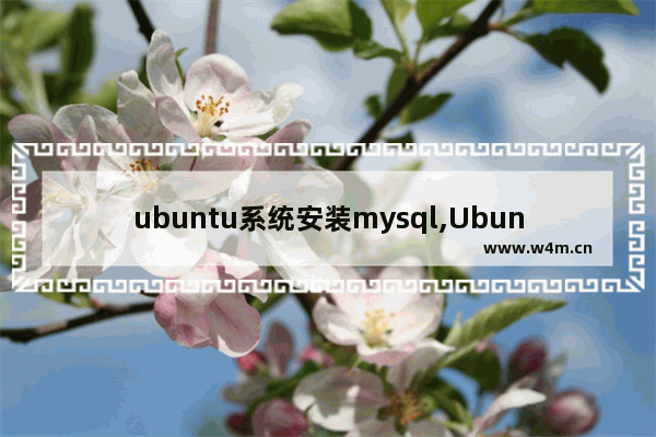 ubuntu系统安装mysql,Ubuntu20.04安装MySQL