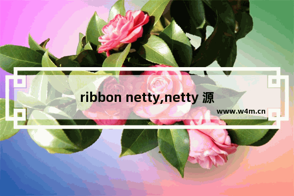 ribbon netty,netty 源码分析