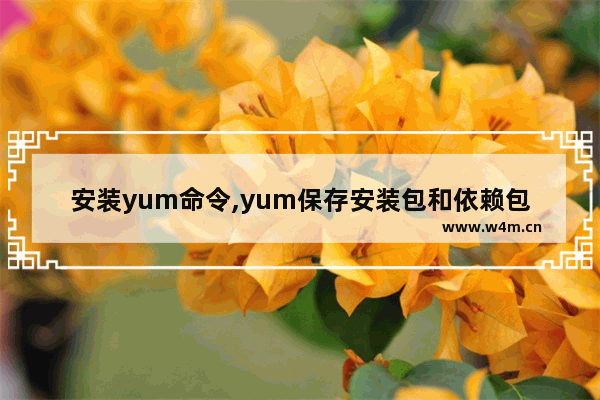 安装yum命令,yum保存安装包和依赖包