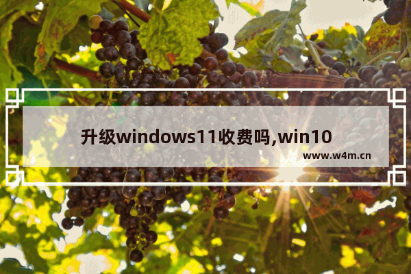 升级windows11收费吗,win10免费升级11系统吗