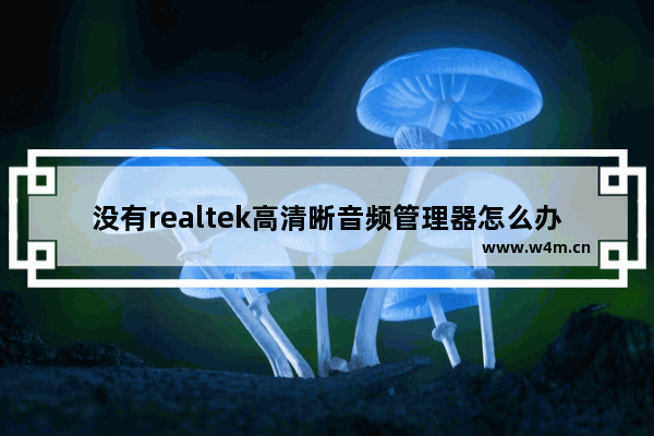 没有realtek高清晰音频管理器怎么办,电脑realtek音频设置没有声音