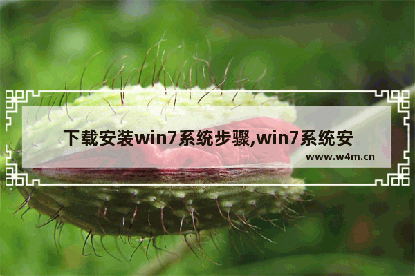 下载安装win7系统步骤,win7系统安装版安装教程