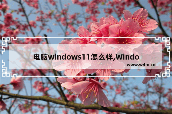 电脑windows11怎么样,Windows11如何