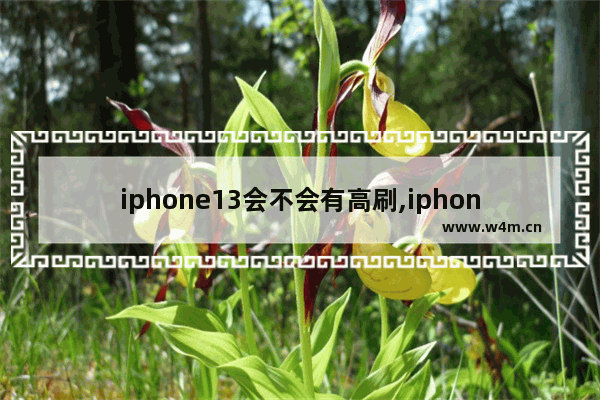 iphone13会不会有高刷,iphone12会有高刷吗