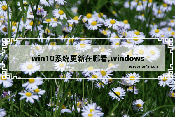 win10系统更新在哪看,windows10怎么看更新