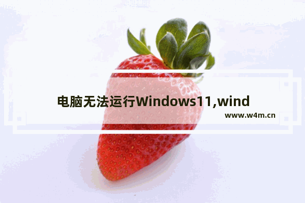 电脑无法运行Windows11,windows10运行打不开