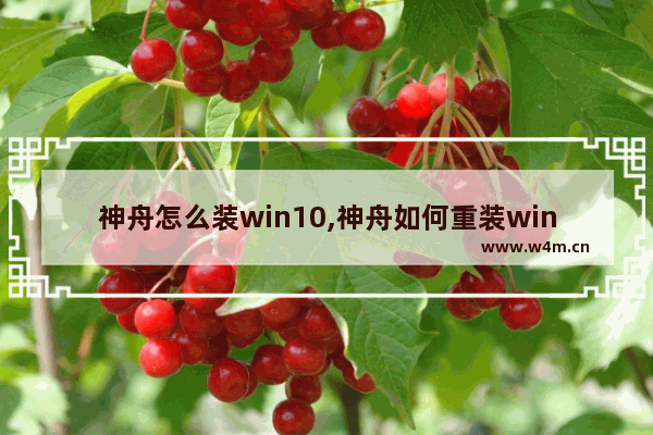 神舟怎么装win10,神舟如何重装window10系统