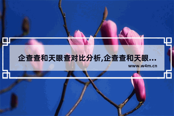 企查查和天眼查对比分析,企查查和天眼查区别