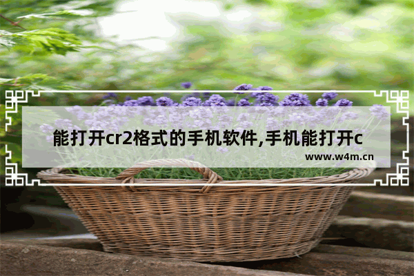 能打开cr2格式的手机软件,手机能打开cr2文件吗