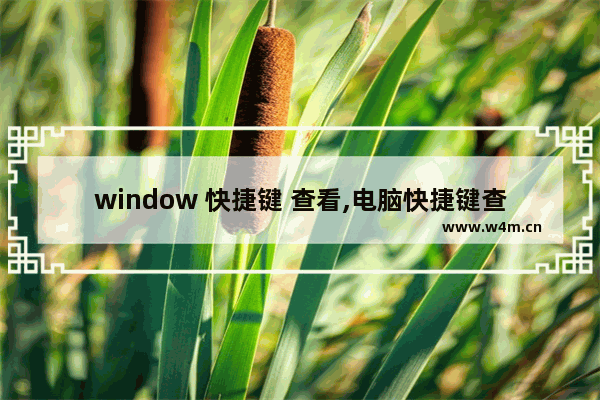 window 快捷键 查看,电脑快捷键查询