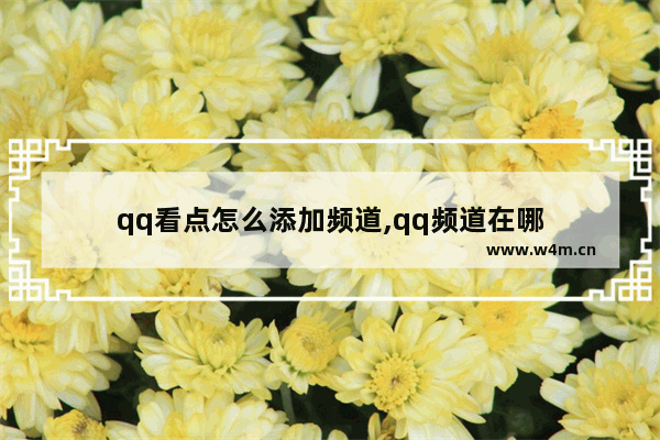 qq看点怎么添加频道,qq频道在哪