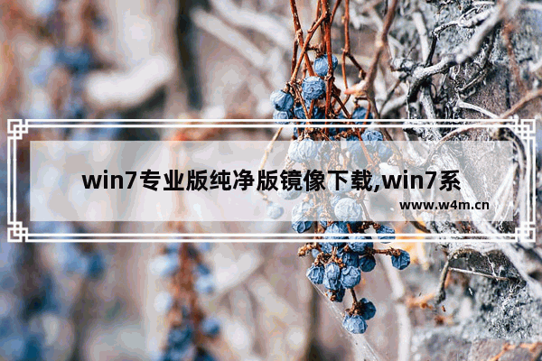 win7专业版纯净版镜像下载,win7系统下载32位镜像文件