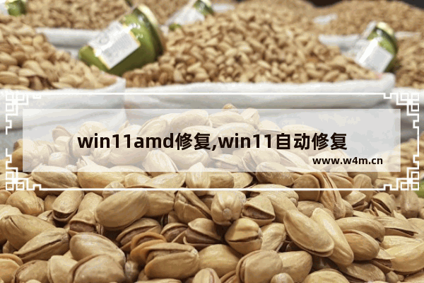 win11amd修复,win11自动修复无法修复你的电脑