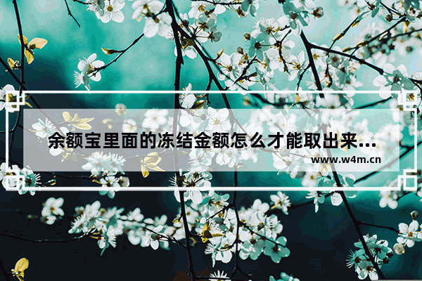 余额宝里面的冻结金额怎么才能取出来视频,余额宝里面的冻结金额怎么才能取出来不是笔笔攒