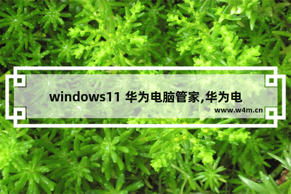 windows11 华为电脑管家,华为电脑管家 win10