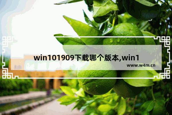 win101909下载哪个版本,win101809版本怎么下载