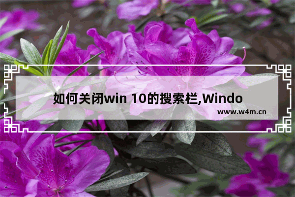 如何关闭win 10的搜索栏,Windows10关闭搜索