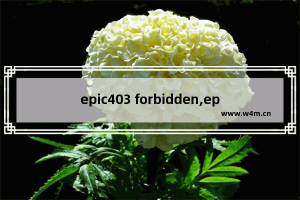 epic403 forbidden,epic403forbidden怎么解决