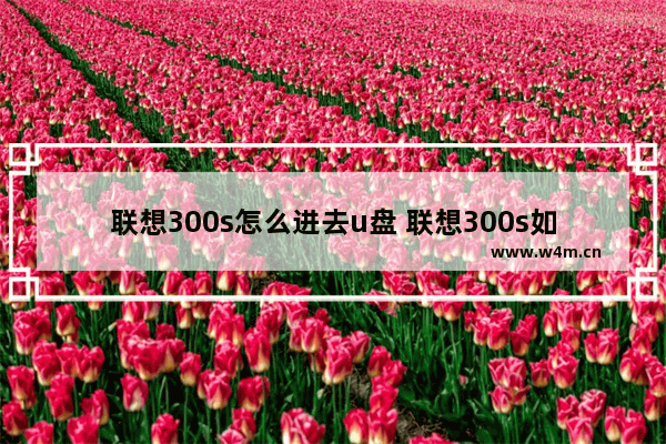 联想300s怎么进去u盘 联想300s如何通过U盘启动