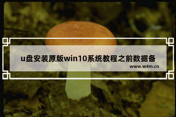 u盘安装原版win10系统教程之前数据备份,u盘安装原版win10系统教程按什么键