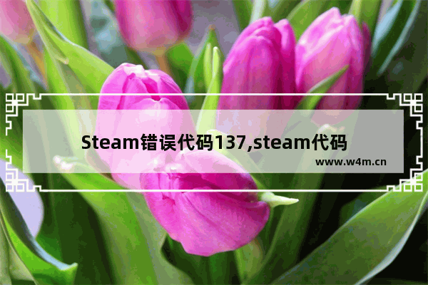 Steam错误代码137,steam代码错误-137