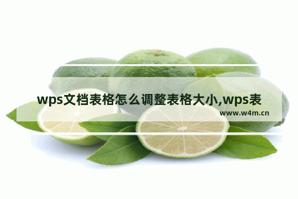 wps文档表格怎么调整表格大小,wps表格如何调整表格大小