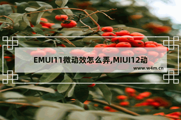 EMUI11微动效怎么弄,MIUI12动效