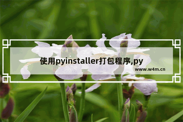 使用pyinstaller打包程序,pyinstaller打包exe缺少运行库