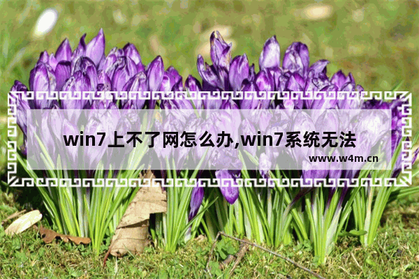 win7上不了网怎么办,win7系统无法上网如何处理