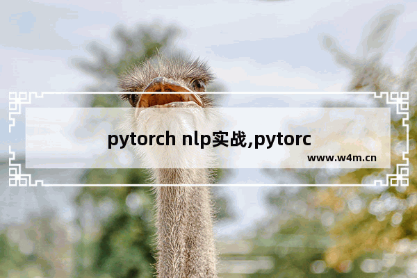 pytorch nlp实战,pytorch nlp库