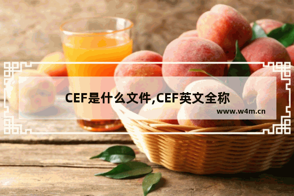 CEF是什么文件,CEF英文全称