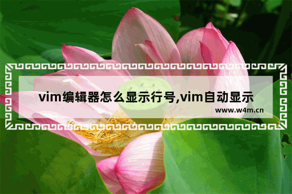 vim编辑器怎么显示行号,vim自动显示行号