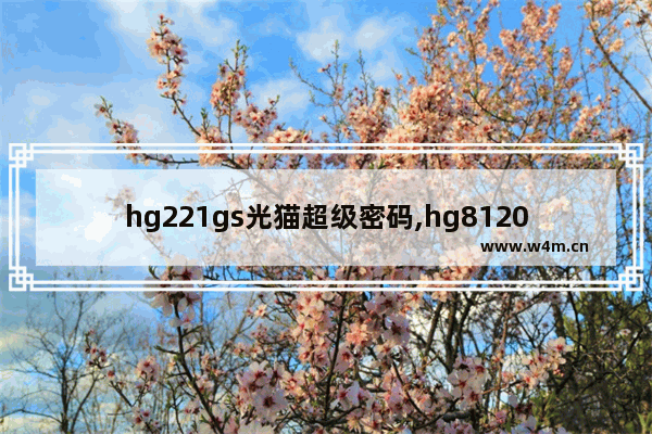 hg221gs光猫超级密码,hg8120c光猫超级密码