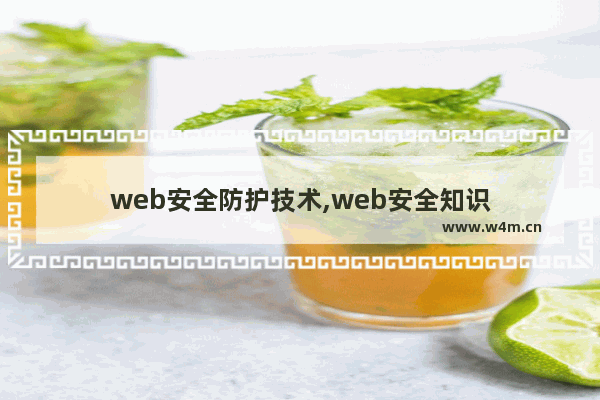 web安全防护技术,web安全知识