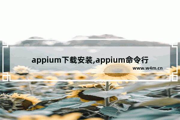 appium下载安装,appium命令行安装