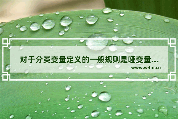 对于分类变量定义的一般规则是哑变量个数,哑变量的定义