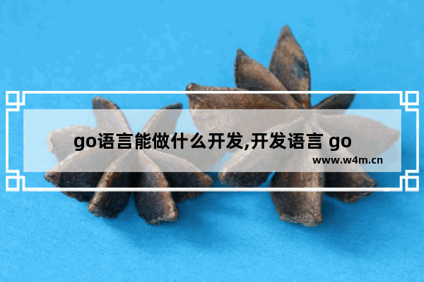 go语言能做什么开发,开发语言 go