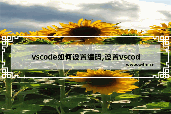 vscode如何设置编码,设置vscode的默认字符编码