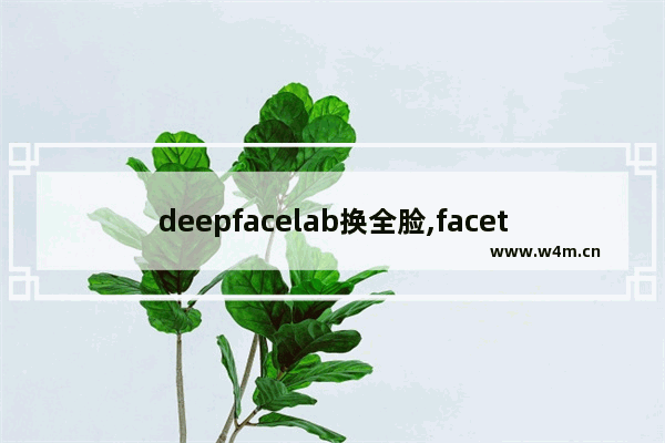 deepfacelab换全脸,facetune2如何换脸