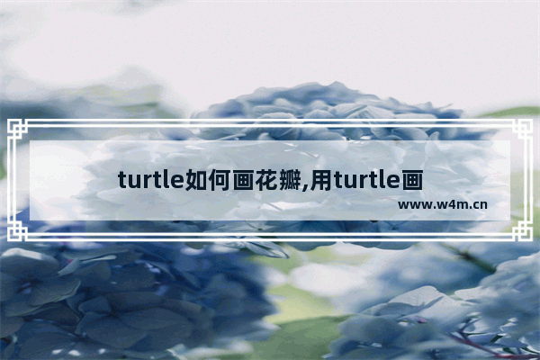 turtle如何画花瓣,用turtle画一朵花