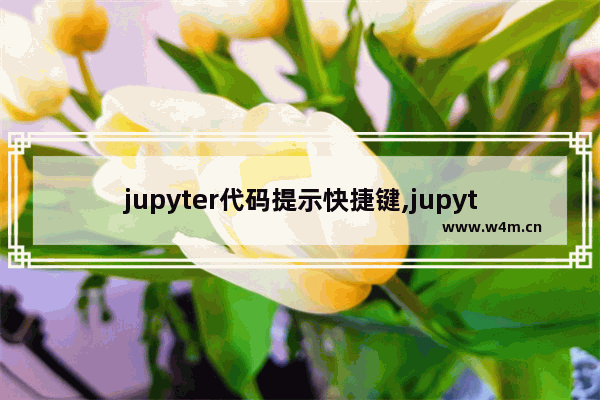 jupyter代码提示快捷键,jupyter中运行的快捷键