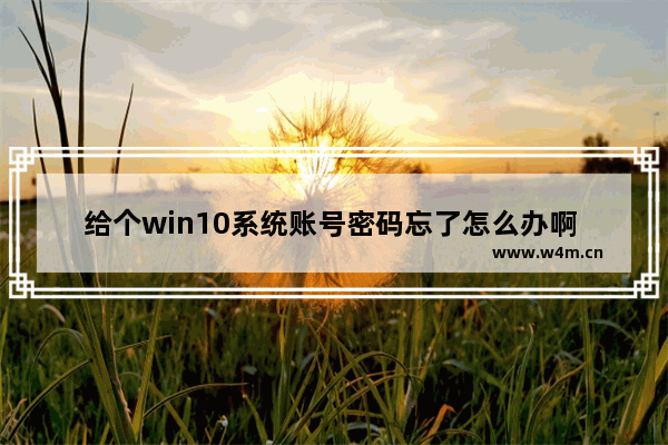 给个win10系统账号密码忘了怎么办啊 win10账号密码忘记怎么办？