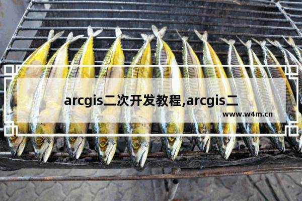 arcgis二次开发教程,arcgis二次开发哪种最好语言