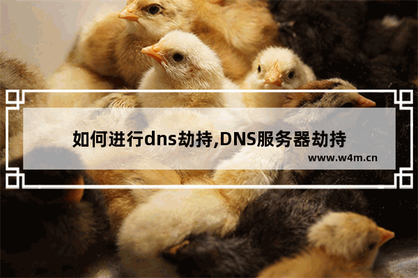 如何进行dns劫持,DNS服务器劫持