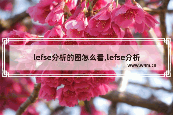 lefse分析的图怎么看,lefse分析的数据格式