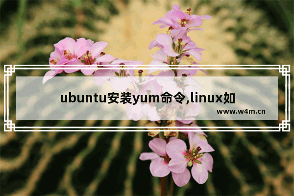 ubuntu安装yum命令,linux如何使用yum安装