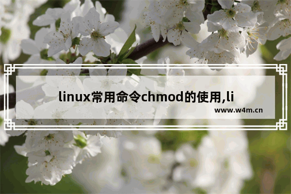 linux常用命令chmod的使用,linux的chmod+x命令